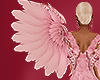$ VDAY wings pink