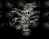 S.S~ELEGANT WILLOW PLANT