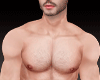 ♕ New Body Muscle