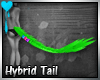 D~Hybrid Tail: Green M/F
