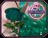 [💀]Teal Hold Rose