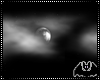 Full Moon Sky