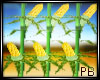 (PB)Corn Stalk 