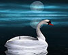 Swan Pedal Boat