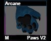 Arcane Paws M V2