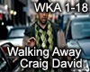 Walking Away- C David