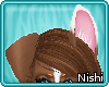 [Nish] Collie Ears 2