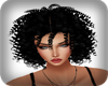 *ZB* Pelos Rizos Black