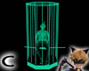 (C) Cyan Caged