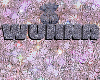 Wunnas Watches