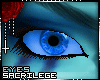 ![DS] MORGANA Eyes |LOL