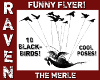 MERLE BLACKBIRDS FLYER!