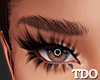Trinity  | Brown Eyebrow