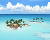 COCO INSEL