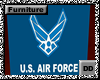 *DD Air Force Poster