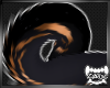 SACHIEL | Tail