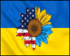 *N* Ukraine flag