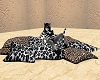 ~LD~ Leopard pillows