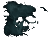 ~the skull~