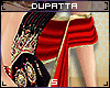 S|Rene Dupatta|Scarf V1