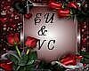 EU & VC