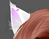 Kawaii Kitty Ears Purple