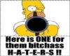 [MA] Homer hater wall