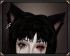 [Ez] Neko ears black