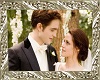 Twilight Wedding