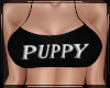 + Puppy F