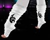 Wild cat white socks