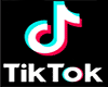 TikTok Voice Box
