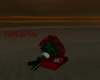 Valentine Roses Gift