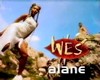  Wes - Alane