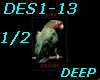 DES1-13-Pure D-P1