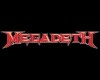 Megadeath T shirt