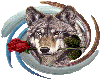 wolf w rose pic frame