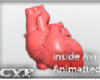 Real Beating Heart
