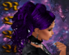 {Nova} Curls purple