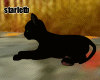 Animated Black Cat V1