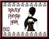 {SCC}Raven Phiyah Hair