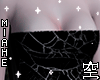 空 - Top Spider Web