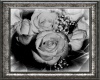 black & white roses pic