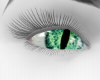 MI Dragon Green Eyes