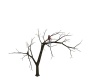 {LS} Climbing tree