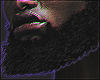 Normal Beard Hair