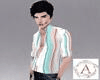 A/ Striped Shirt