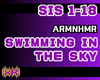 Swimming In The Sky