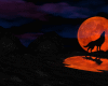 wolf moon pond