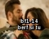 berf si BF1-14 9.hindi
